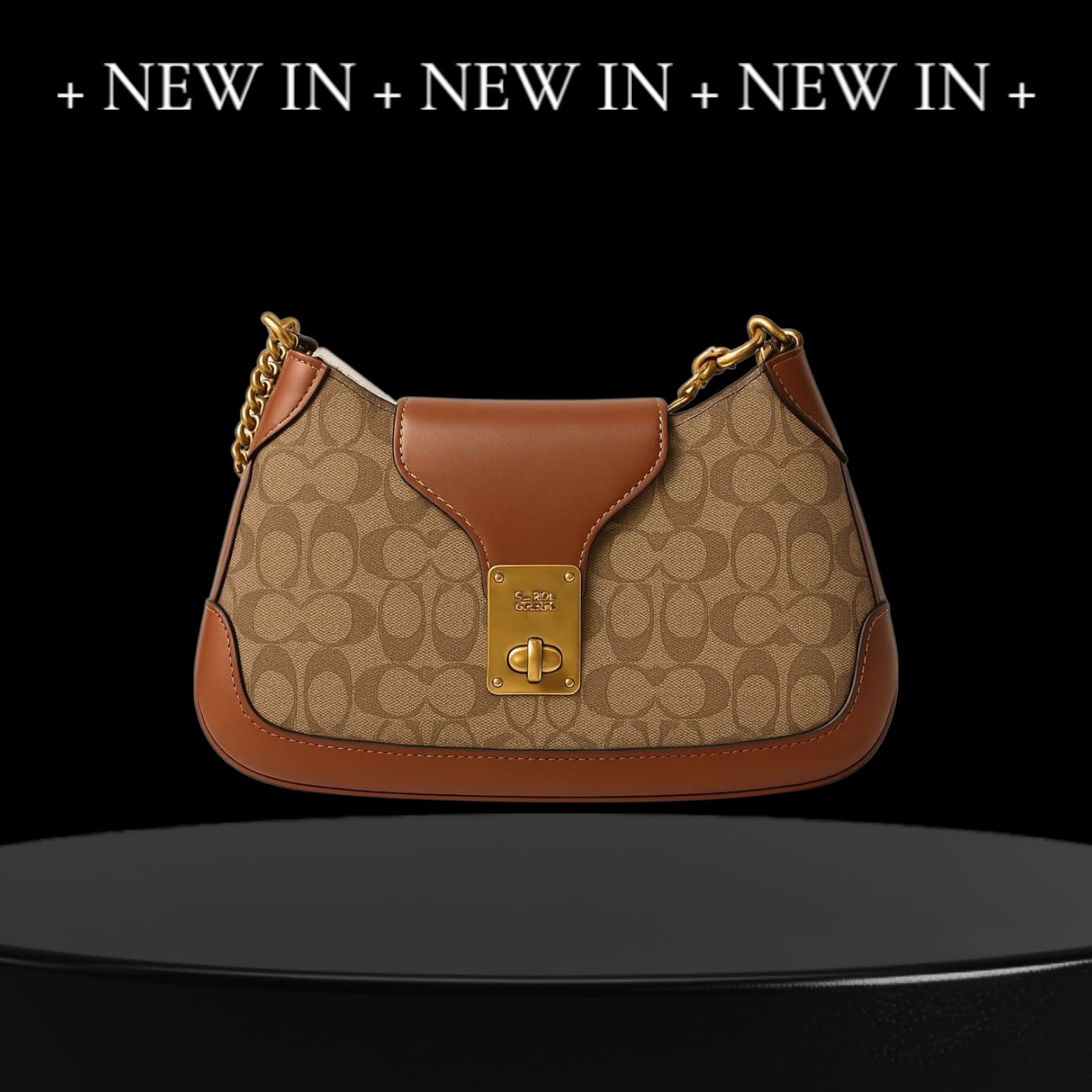 FIRST COPY Coach Guanchi bag with box premium quality - Image 4