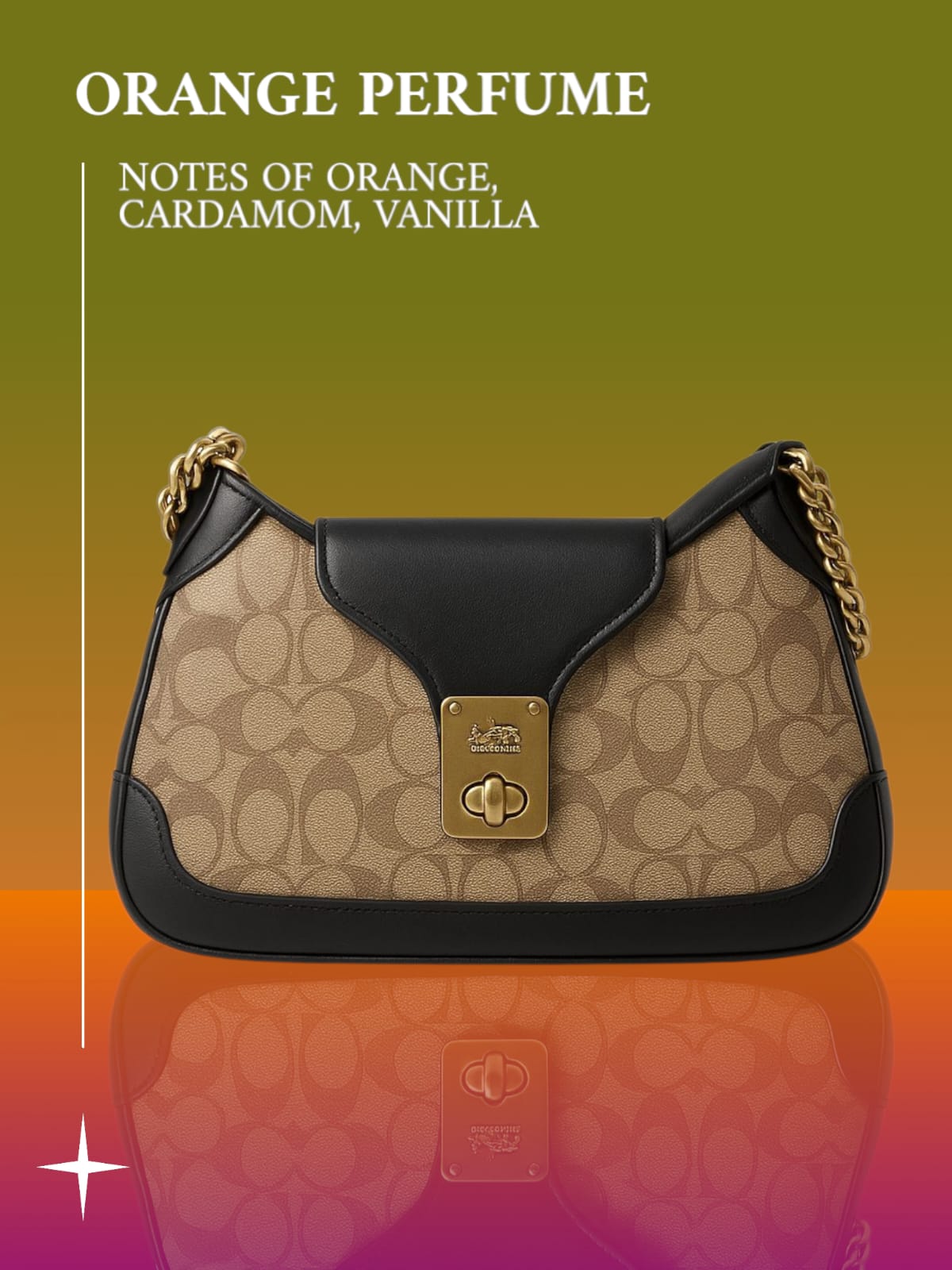 FIRST COPY Coach Guanchi bag with box premium quality - Image 6