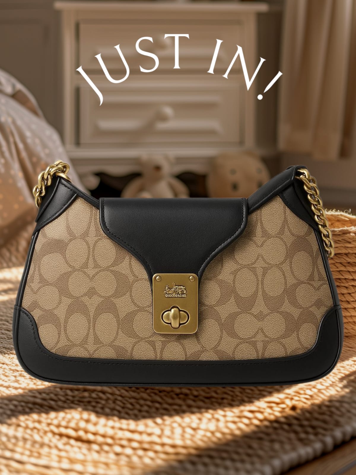 FIRST COPY Coach Guanchi bag with box premium quality - Image 5