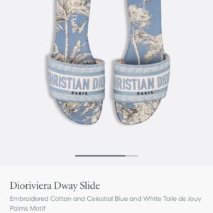FIRST COPY CHRISTIAN DWAY SLIDES