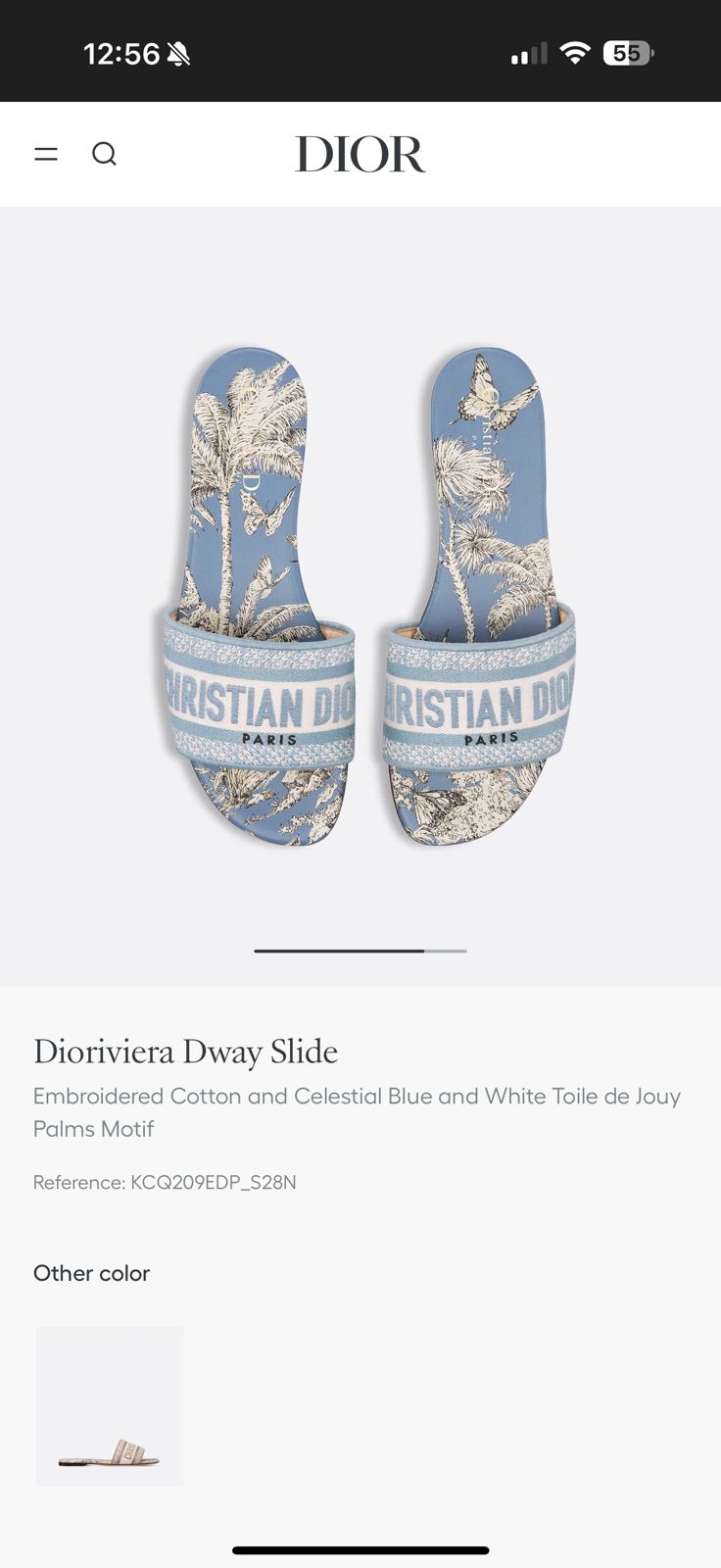 FIRST COPY CHRISTIAN DWAY SLIDES