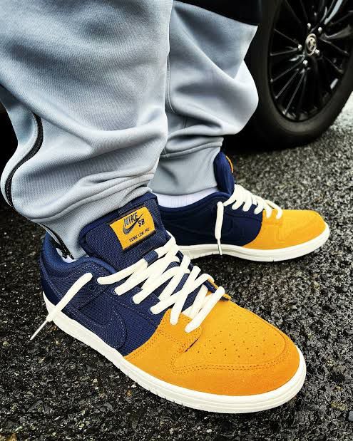 FIRST COPY NIKE SB DUNK LOW PRO BACKPACK - Image 9